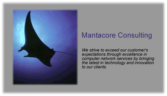 Mantacore Consulting